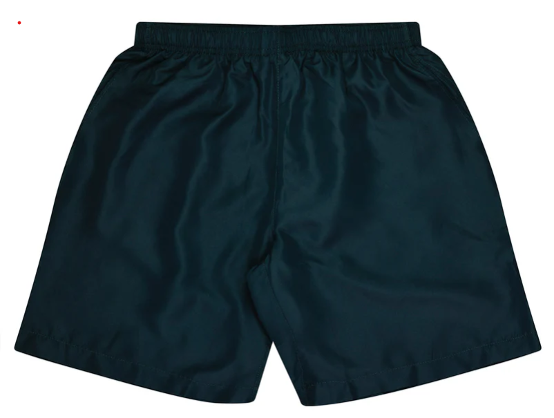 1606 short navy